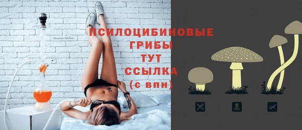дмт Аркадак
