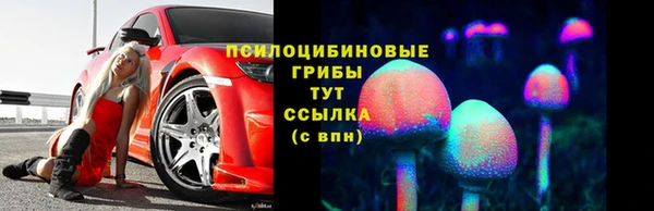 дмт Аркадак